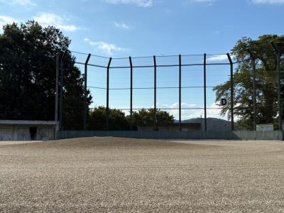 D野球場の画像