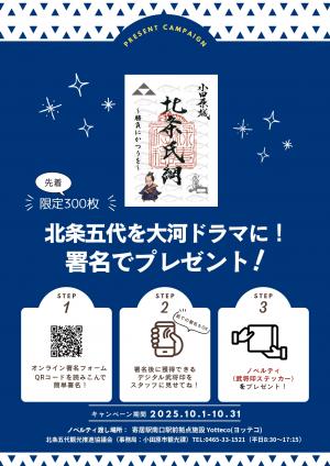 北条五代を大河ドラマにチラシ