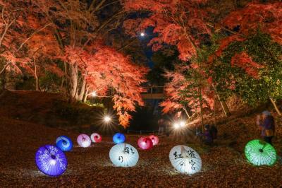 紅葉ライトアップ写真1