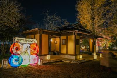 紅葉ライトアップ写真2