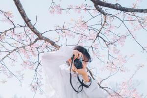 写真家　櫻子さん