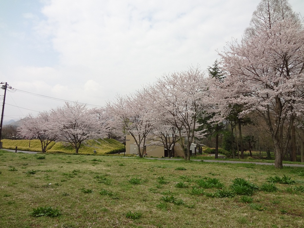 今日の鉢形城公園