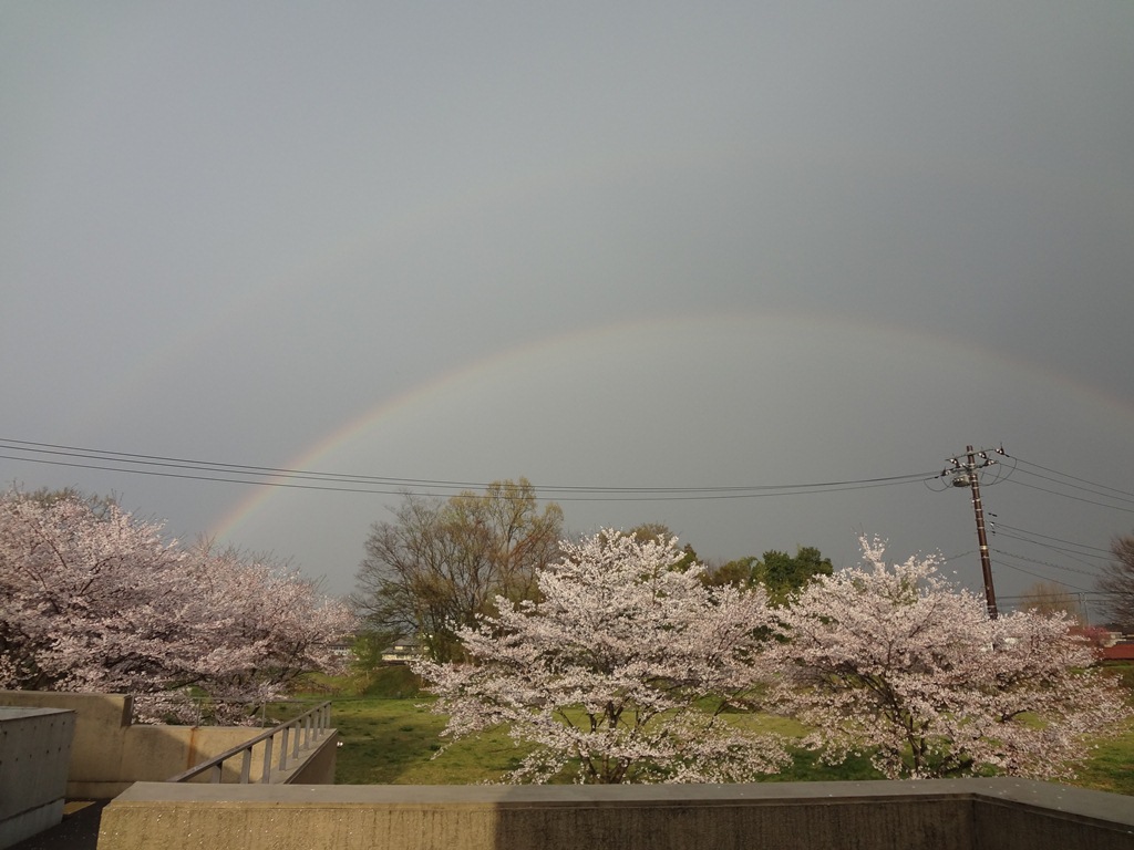 今日の鉢形城公園