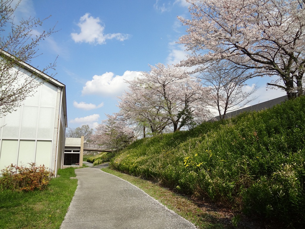 今日の鉢形城公園