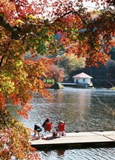 紅葉の円良田湖の写真