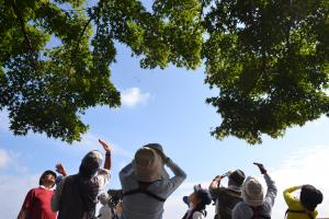 タカの渡り観察会