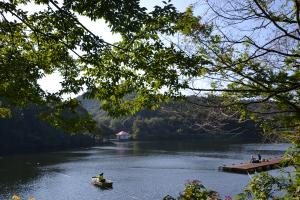 円良田湖景観の写真