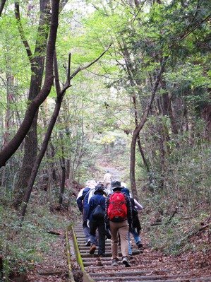 山道を登る参加者