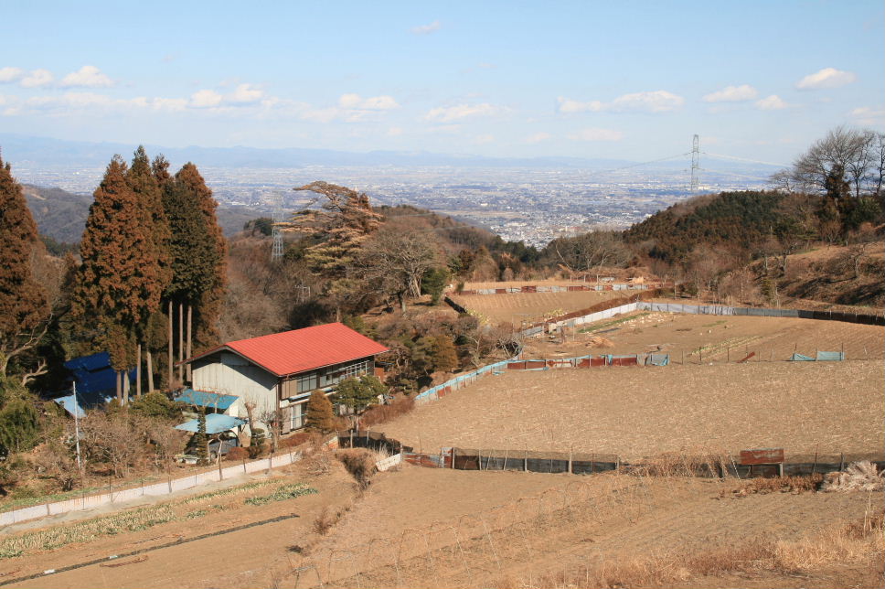 冬の里山