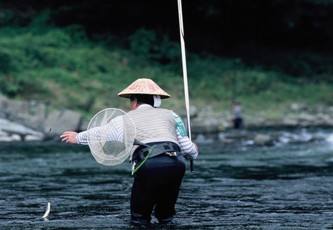 鮎つりの写真