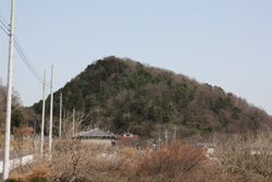 花園城跡