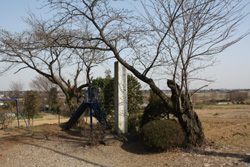 用土城跡