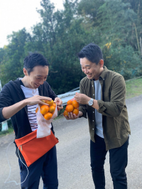 みかん狩りを楽しむメンバー