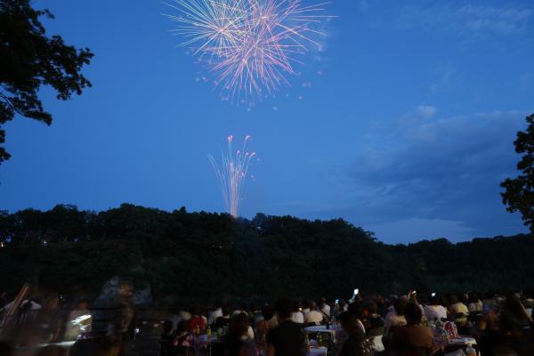 寄居玉淀水天宮祭の写真４